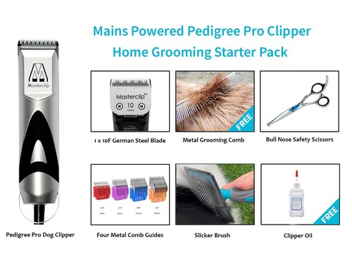 Dog clipper starter - , home