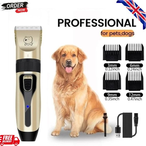 Professional pet dog grooming - dog,