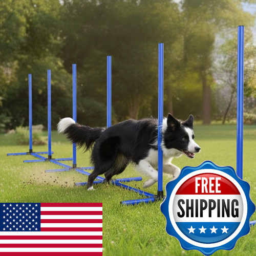 Maicobi weave hurdle dog - 6,