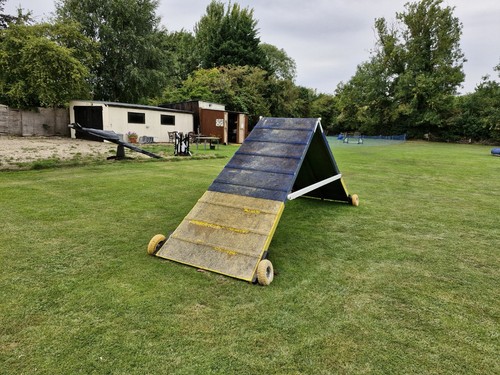 Dog agility frame training - frame,
