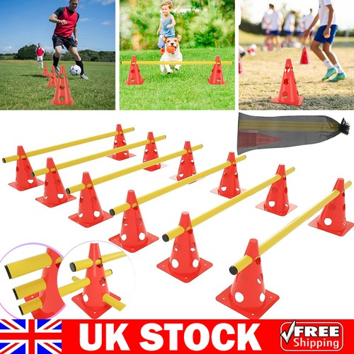 Pet agility training - training, hurdle