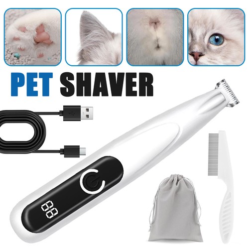 Professional pet dog grooming - pet,