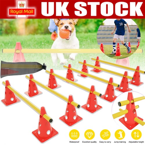 Dog agility set jump training - dog,