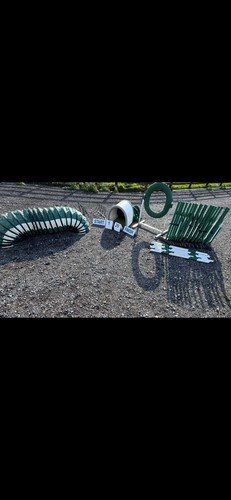 First choice agility - agility, equipment