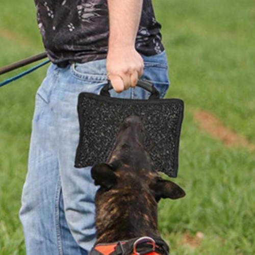 Dog bite pillow equipment - pillow,