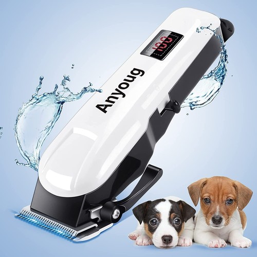 Professional pet anyoug dog - pet,