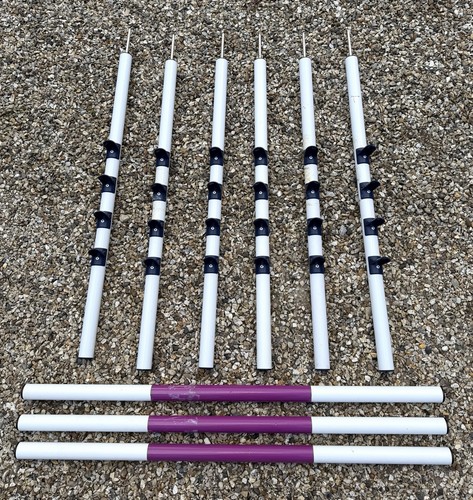 Dog agility equipment set - dog,