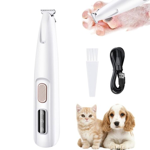 Professional pet dog - professional, grooming