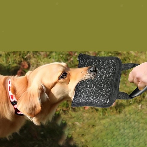 Dog bite pillow equipment - dog,