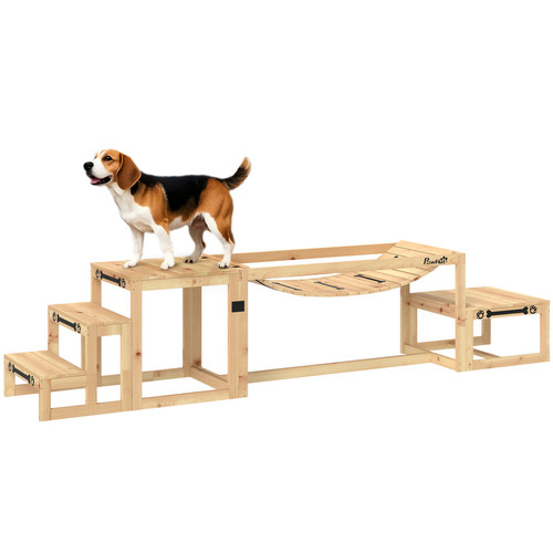Dog agility training - training, pieces
