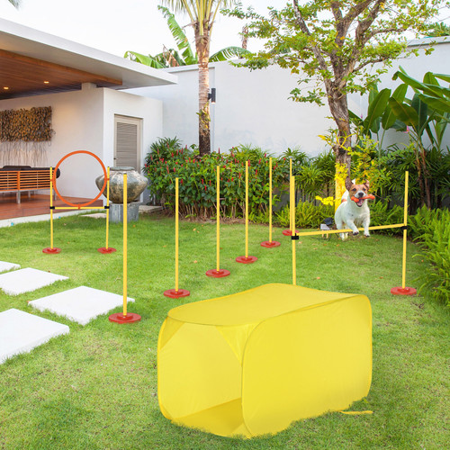 Dog agility training equipment - agility,