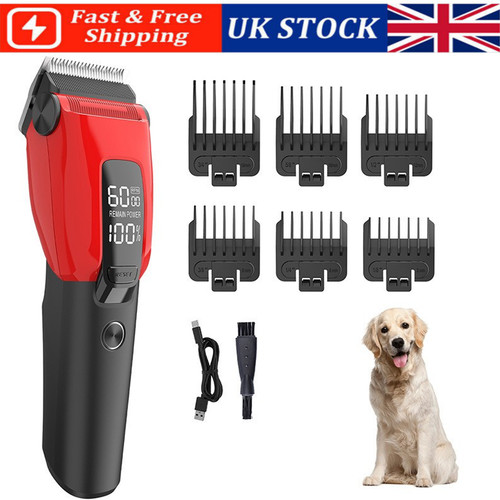 Professional pet dog - dog, grooming